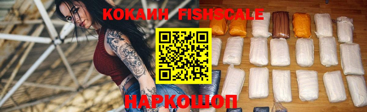 Cocaine Fish Scale  COCAIN  Городец  Вход с VPN 