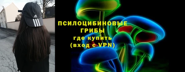 бошки Балахна