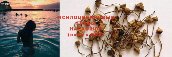 a pvp Балабаново