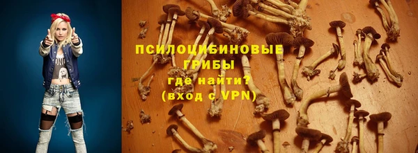 бошки Балахна