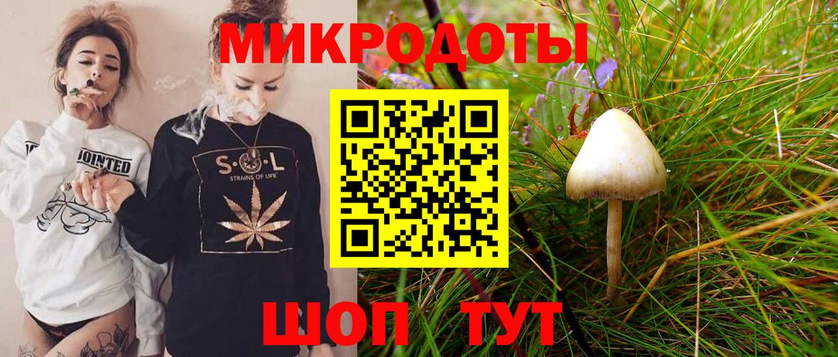 Псилоцибиновые грибы ЛСД  купить наркоту  Городец  Вход с VPN 