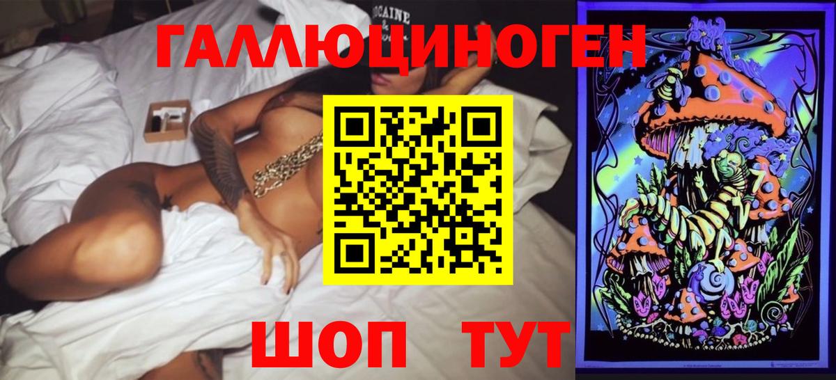 Псилоцибиновые грибы Psilocybine cubensis  Городец 