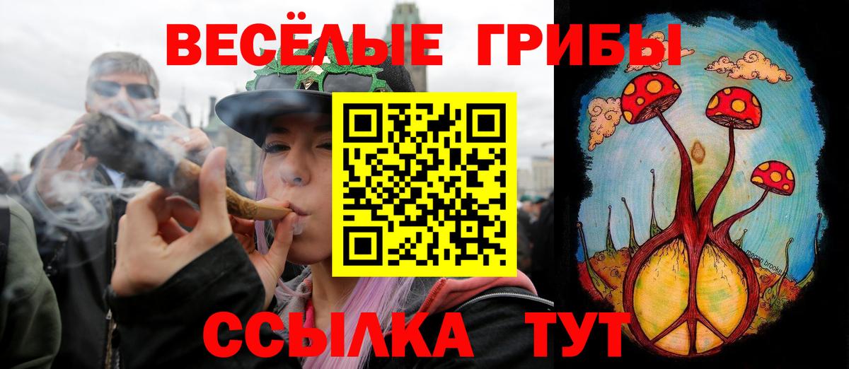 Псилоцибиновые грибы Magic Shrooms Городец